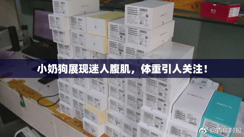 小奶狗展现迷人腹肌，体重引人关注！