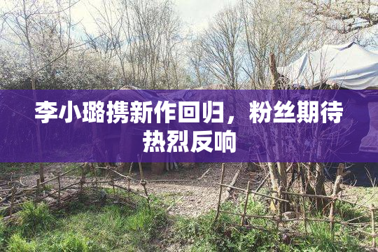 李小璐携新作回归，粉丝期待热烈反响