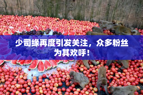 少司缘再度引发关注，众多粉丝为其欢呼！