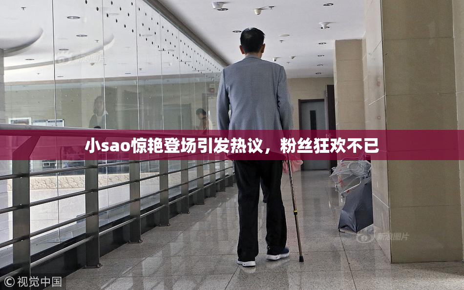 小sao惊艳登场引发热议，粉丝狂欢不已