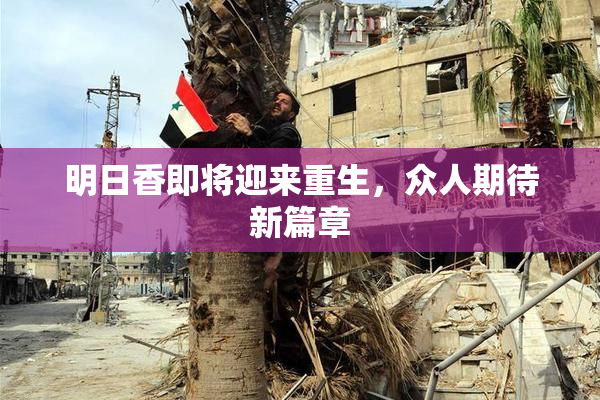 明日香即将迎来重生，众人期待新篇章