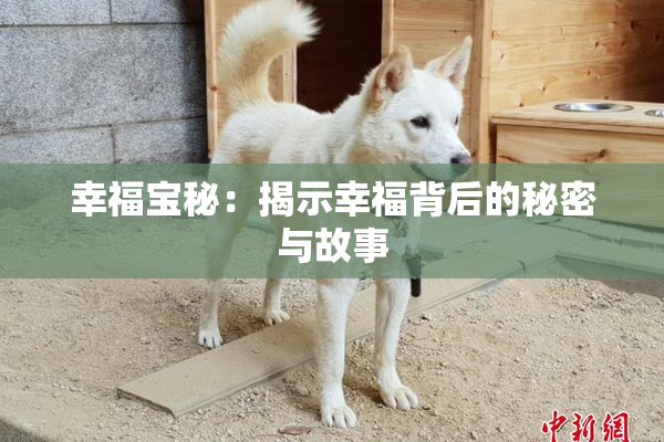 幸福宝秘：揭示幸福背后的秘密与故事