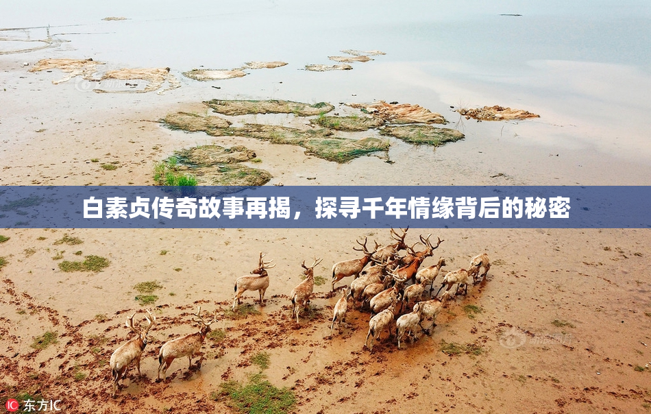 白素贞传奇故事再揭，探寻千年情缘背后的秘密