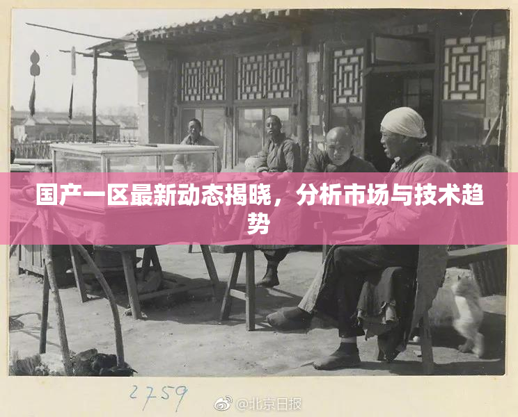 国产一区最新动态揭晓，分析市场与技术趋势