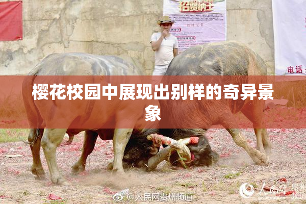 樱花校园中展现出别样的奇异景象