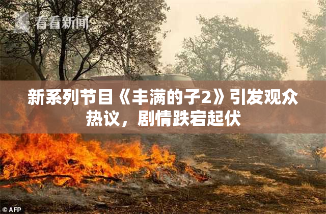 新系列节目《丰满的子2》引发观众热议，剧情跌宕起伏