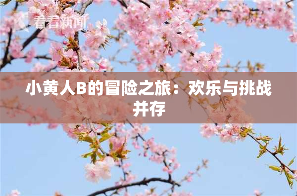 小黄人B的冒险之旅：欢乐与挑战并存