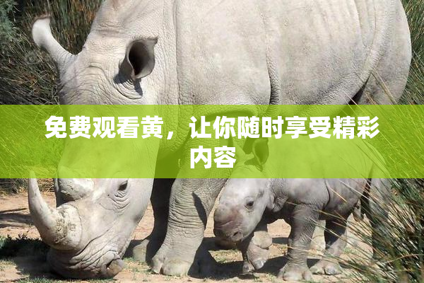 免费观看黄，让你随时享受精彩内容