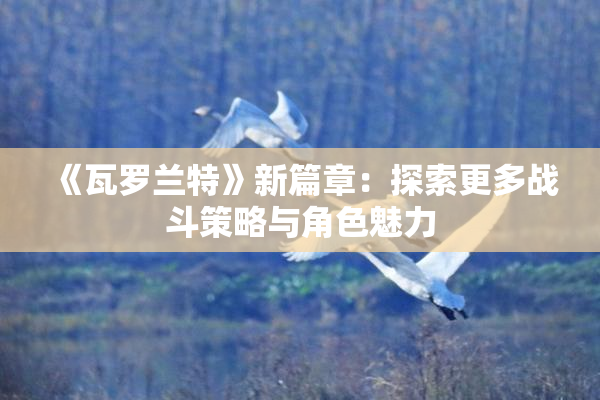 《瓦罗兰特》新篇章：探索更多战斗策略与角色魅力