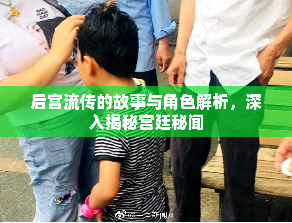 后宫流传的故事与角色解析，深入揭秘宫廷秘闻