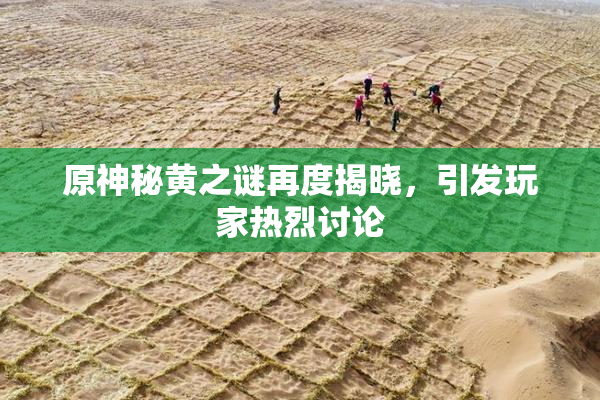 原神秘黄之谜再度揭晓，引发玩家热烈讨论