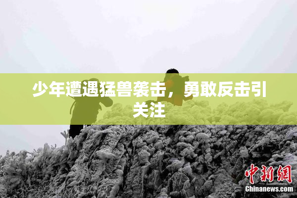 少年遭遇猛兽袭击，勇敢反击引关注