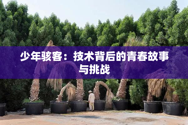 少年骇客：技术背后的青春故事与挑战