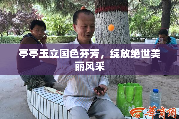 亭亭玉立国色芬芳，绽放绝世美丽风采