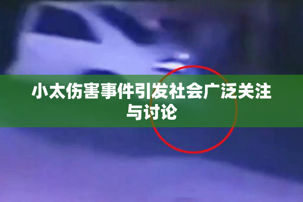 小太伤害事件引发社会广泛关注与讨论