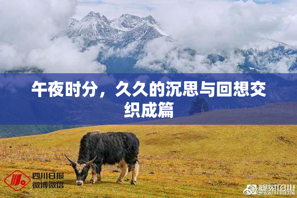 午夜时分，久久的沉思与回想交织成篇