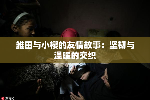 雏田与小樱的友情故事：坚韧与温暖的交织