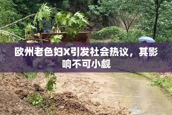 欧州老色妇X引发社会热议，其影响不可小觑