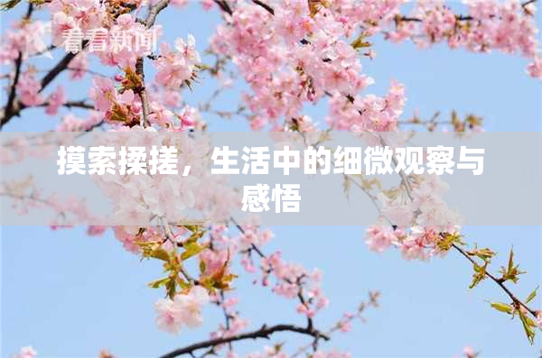 摸索揉搓，生活中的细微观察与感悟