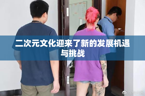 二次元文化迎来了新的发展机遇与挑战