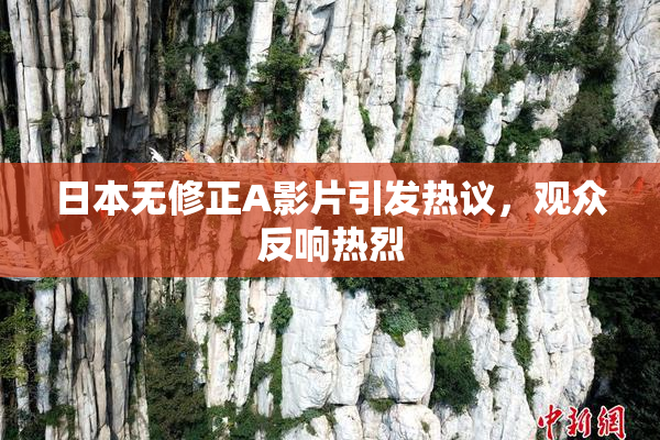 日本无修正A影片引发热议，观众反响热烈