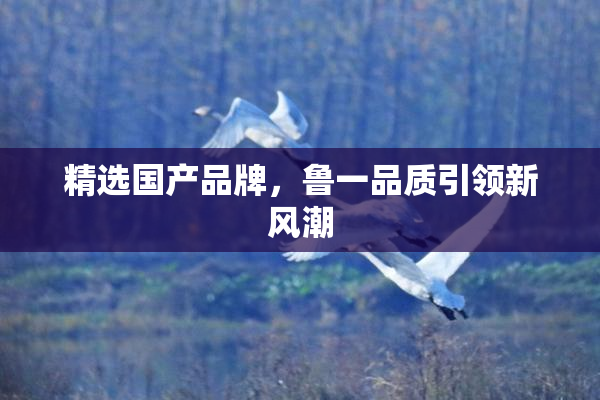 精选国产品牌，鲁一品质引领新风潮
