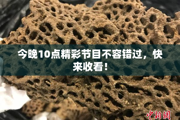 今晚10点精彩节目不容错过，快来收看！