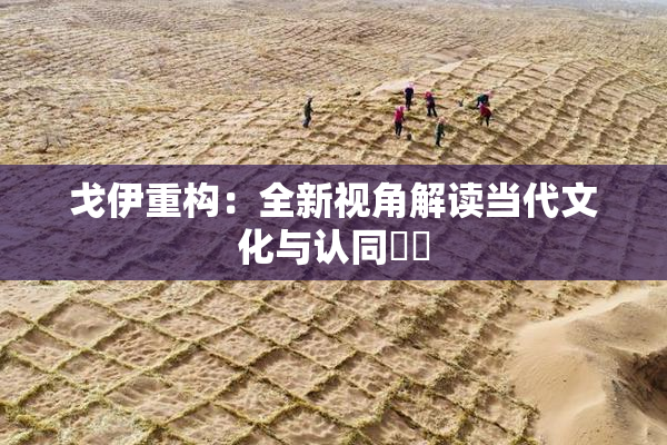 戈伊重构：全新视角解读当代文化与认同問題
