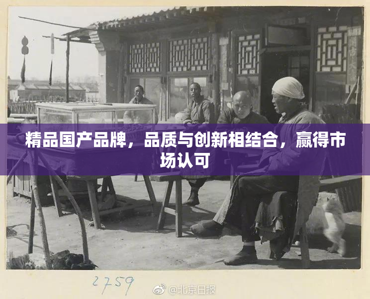 精品国产品牌，品质与创新相结合，赢得市场认可