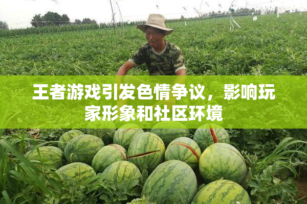 王者游戏引发色情争议，影响玩家形象和社区环境