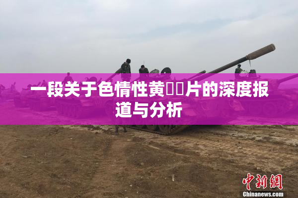 一段关于色情性黄❌‌片的深度报道与分析
