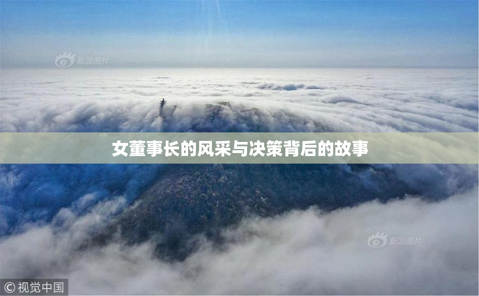 女董事长的风采与决策背后的故事