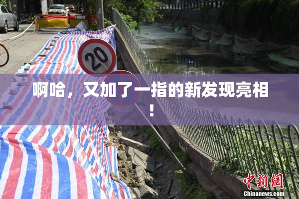 啊哈，又加了一指的新发现亮相！