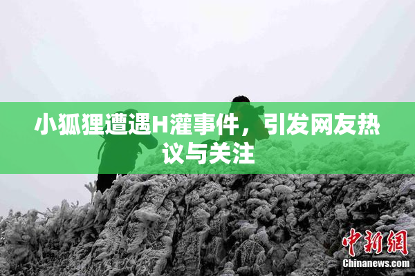 小狐狸遭遇H灌事件，引发网友热议与关注