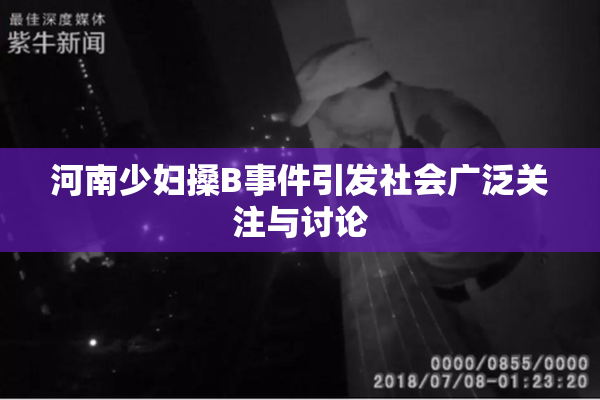 河南少妇搡B事件引发社会广泛关注与讨论