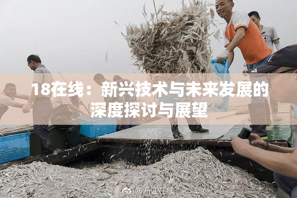 18在线：新兴技术与未来发展的深度探讨与展望