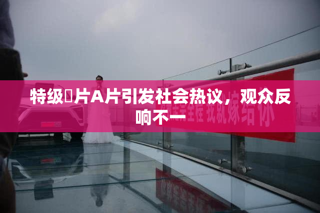 特级婬片A片引发社会热议，观众反响不一