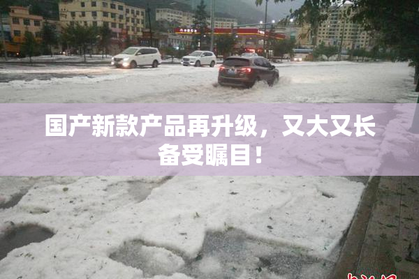 国产新款产品再升级，又大又长备受瞩目！