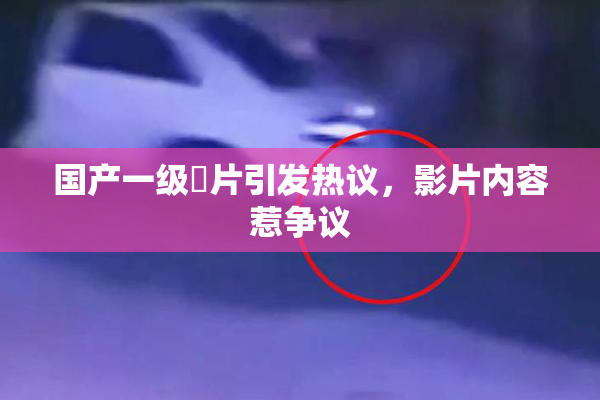 国产一级婬片引发热议，影片内容惹争议