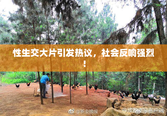 性生交大片引发热议，社会反响强烈！