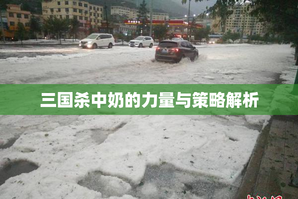三国杀中奶的力量与策略解析