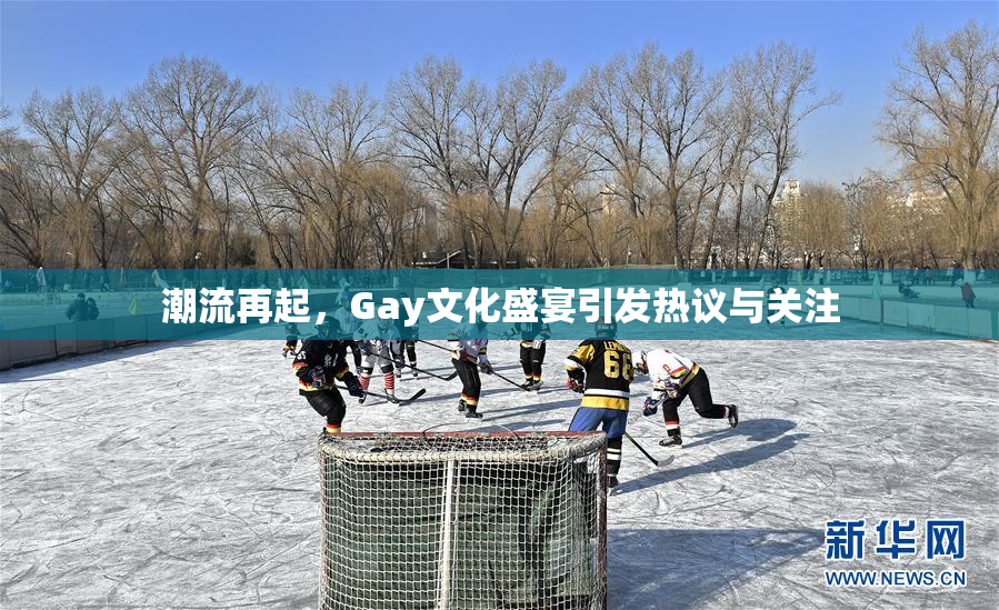 潮流再起，Gay文化盛宴引发热议与关注