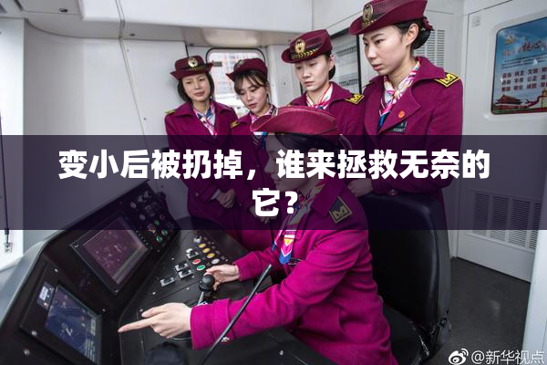 变小后被扔掉，谁来拯救无奈的它？