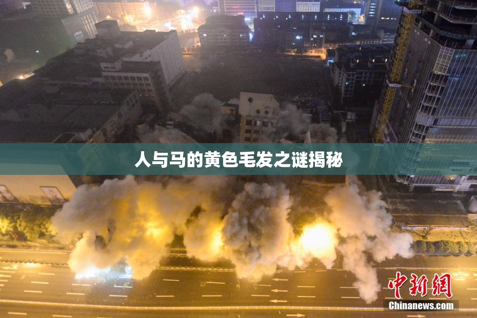 人与马的黄色毛发之谜揭秘