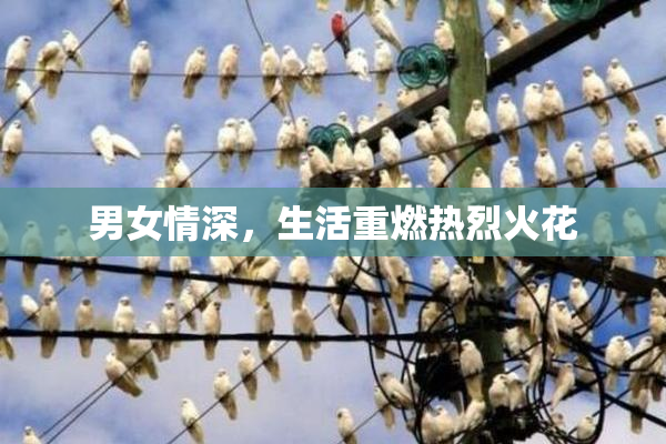 男女情深，生活重燃热烈火花