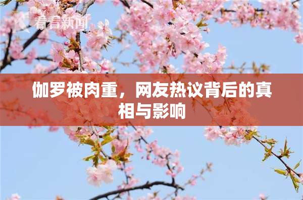伽罗被肉重，网友热议背后的真相与影响