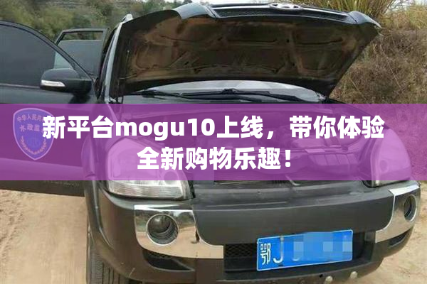 新平台mogu10上线，带你体验全新购物乐趣！