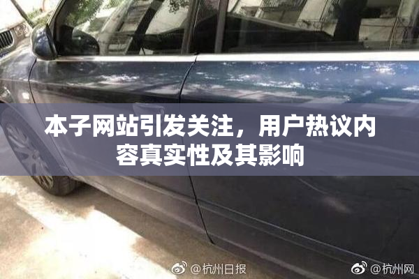 本子网站引发关注，用户热议内容真实性及其影响