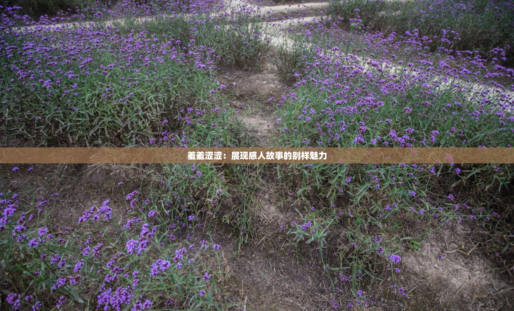 羞羞涩涩：展现感人故事的别样魅力