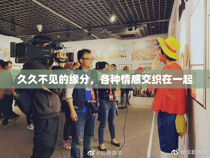 久久不见的缘分，各种情感交织在一起